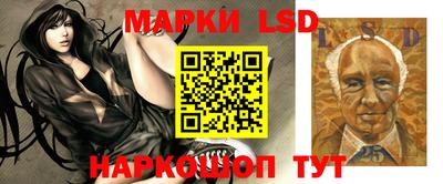 мдпв Гай