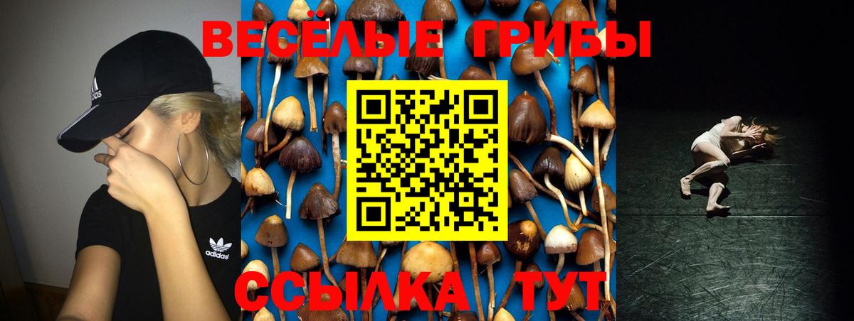 Грязи  Галлюциногенные грибы Magic Shrooms  Вход с VPN 