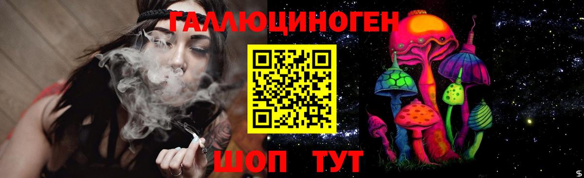 Галлюциногенные грибы Psilocybe Грязи